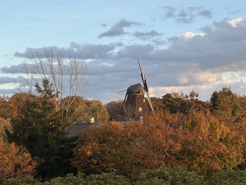 紅葉の中にふなばしアンデルセン公園の風車が見える風景の写真