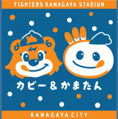 オリジナルジャガードタオルデザイン（画像）