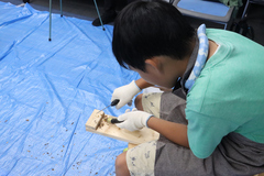 木育ワークショップの様子の写真
