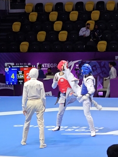 世界選手権大会での試合模様の写真
