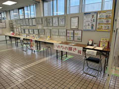 令和6年度に開催した「いのちの輝き展」の展示の様子(写真)
