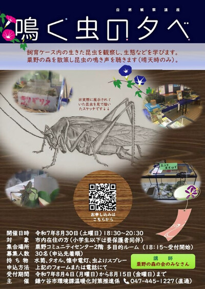 鳴く虫の夕べ　ご案内のポスター（表）