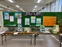 昨年度の展示風景(写真)