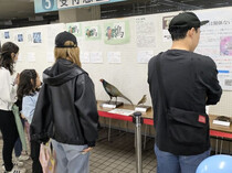 展示2