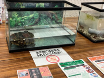 展示3