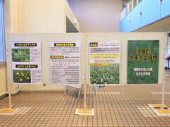 パネル展の写真