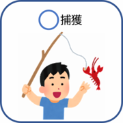 ザリガニをつっているイラスト