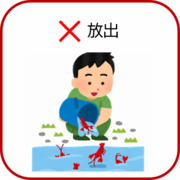 ザリガニを川に放出しているイラスト