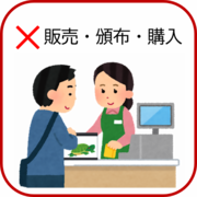 カメを販売しているイラスト