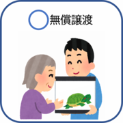 カメを無償譲渡しているイラスト