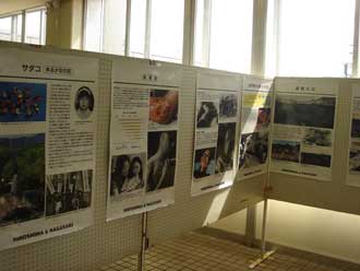 ヒロシマ・ナガサキ原爆写真展の様子