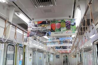 鎌ケ谷市をPRする車内広告（写真）