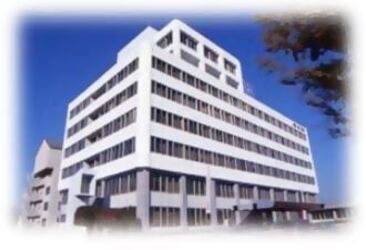 市庁舎【写真】