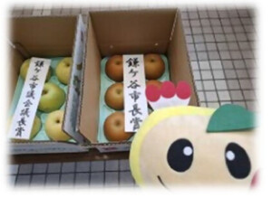 受賞した梨の写真