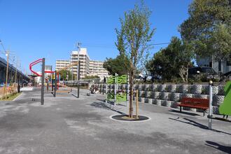 公園全体の写真